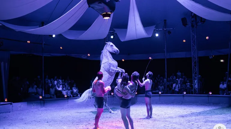 Bruxelles : le spectacle équestre D’or et de Sang s’installe au parc du Drohme