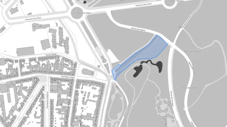Laeken : un dépôt de trams va nécessiter l'abattage d'environ 200 arbres