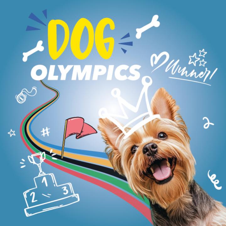 Dogolympics. Premières olympiades pour les chiens !