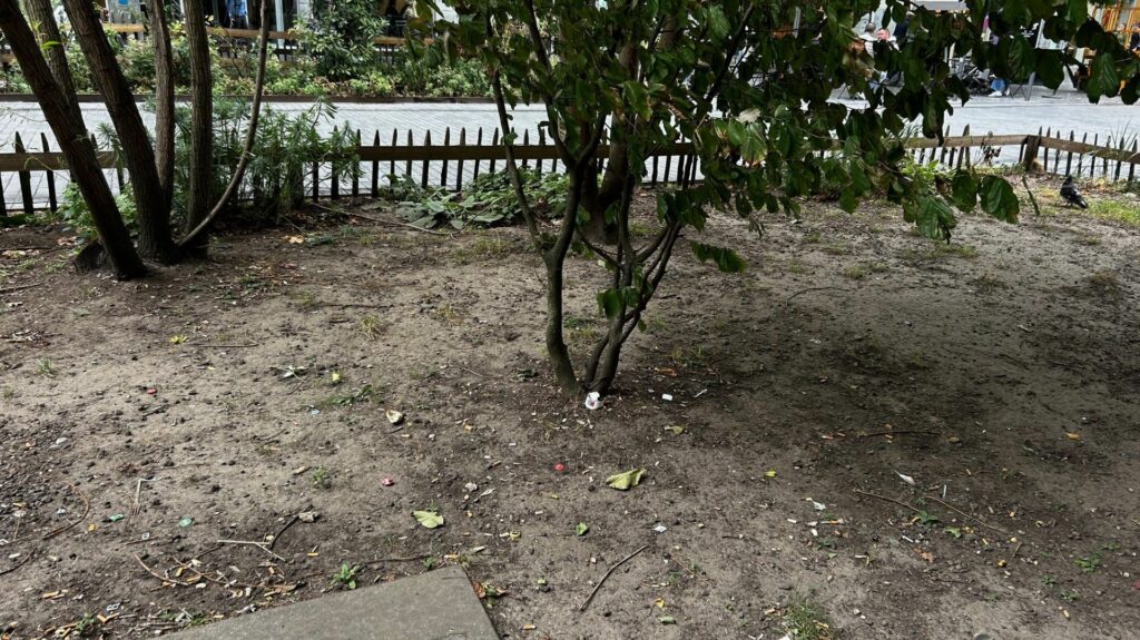 Bruxelles : lifting en vue pour la végétation du piétonnier