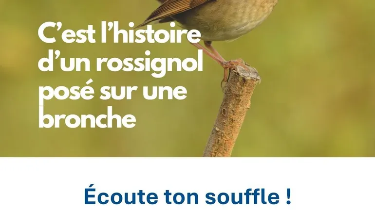 Santé : l’Hôpital Universitaire de Bruxelles plaide pour un dépistage préventif et officiel du cancer du poumon