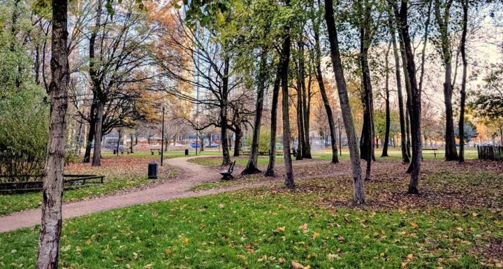 Tests de réponse thermique dans le parc Maximilien (décembre 2025)