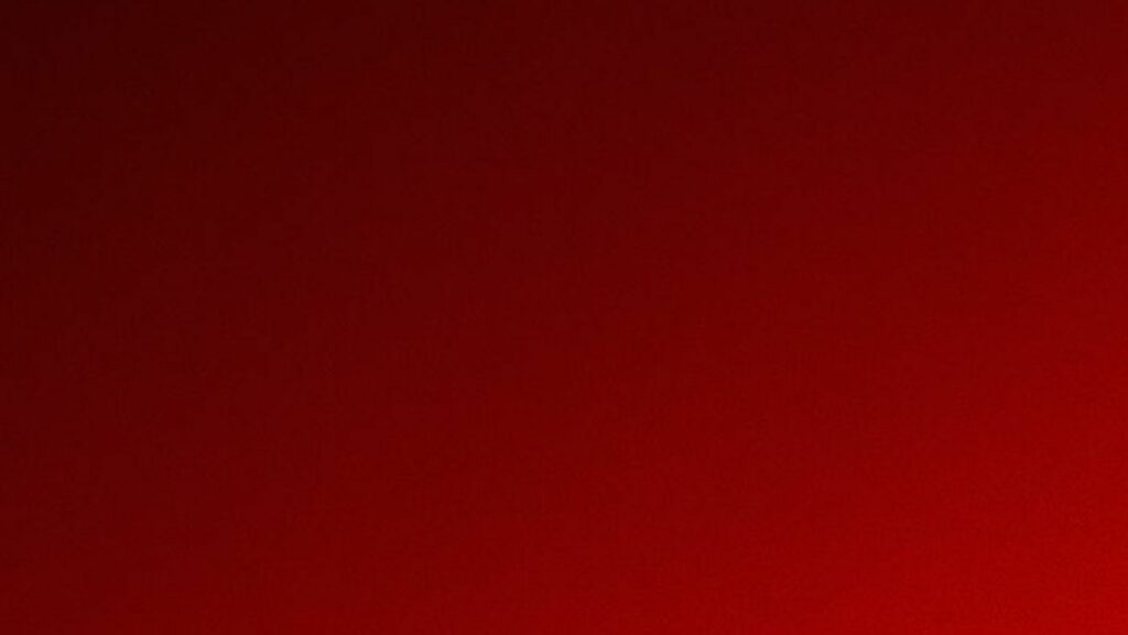 Exécution sur fond de trafic de drogue : la cour d’assises de Bruxelles ouvre l’année sur une rivalité sanglante entre clans