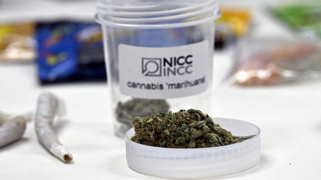 Trafic de drogues : la zone Bruxelles-Ouest a procédé à 475 arrestations en 2025