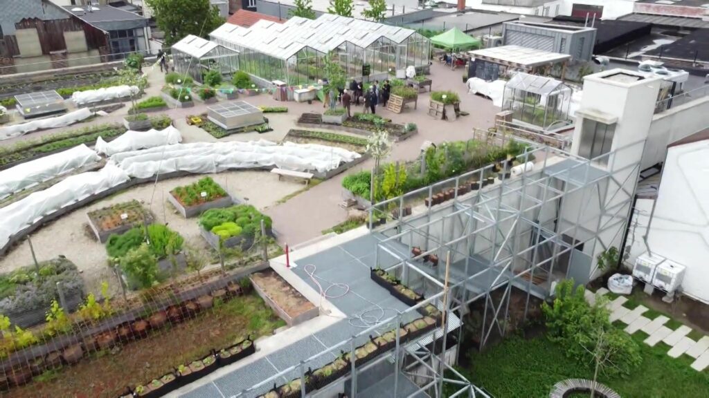 Bruxelles : une mobilisation inédite pour protéger les sols vivants