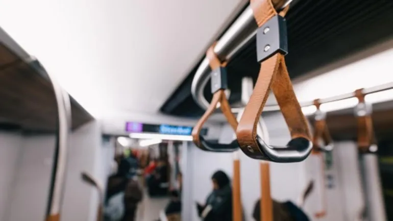 Des renards interrompent la circulation des métros 2 et 6 à Bruxelles