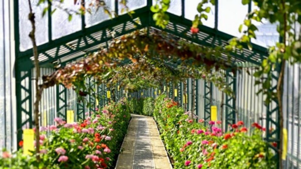 Les Serres royales de Laeken ouvrent leurs portes dès le 17 avril