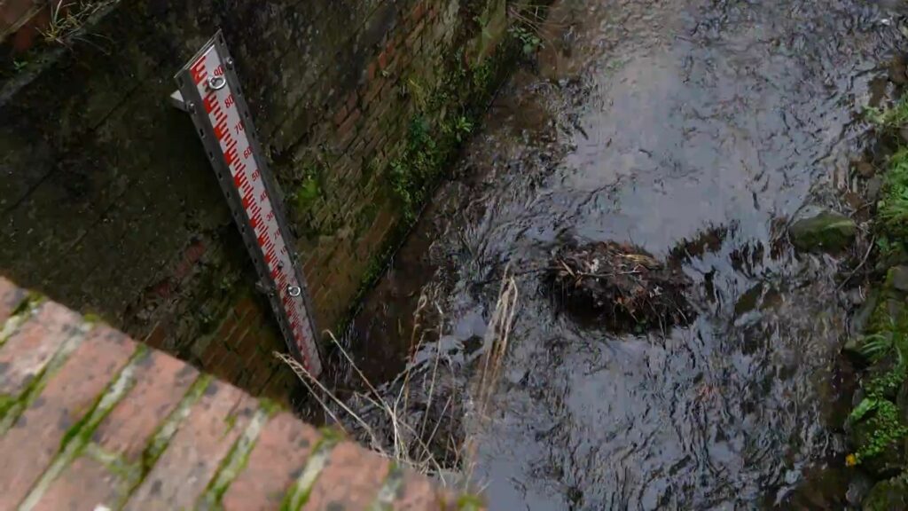 Solution et prévention : le ruisseau "Linkebeek" à Bruxelles pour prévenir des inondations et des fortes chaleurs estivales
