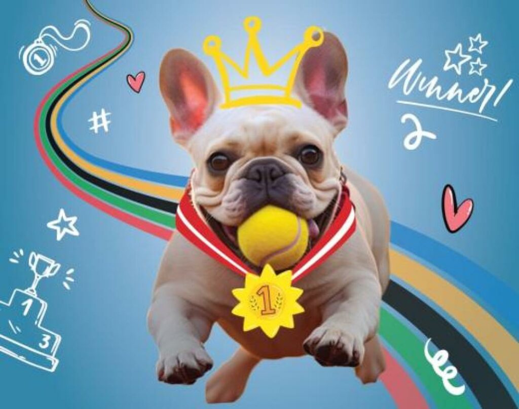 Dogolympics : le grand rendez-vous sportif des chiens à Bruxelles !