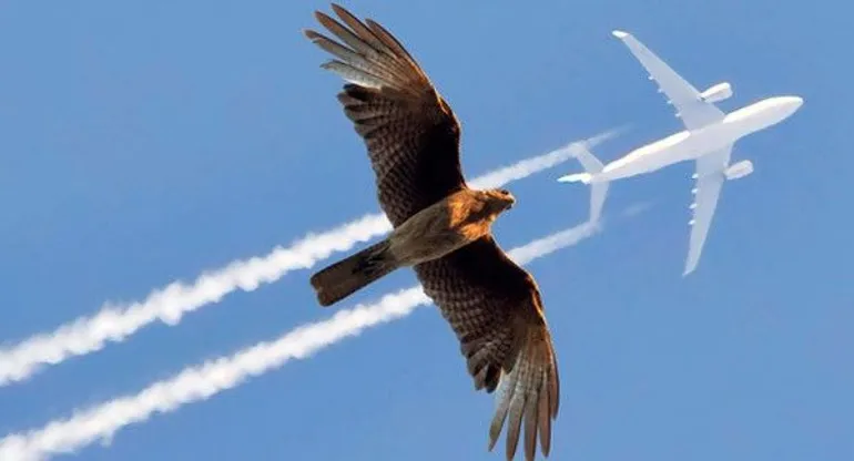 Les activités des vacances de printemps en Wallonie et à Bruxelles