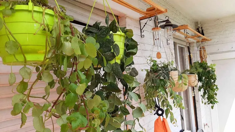 Les Caraïbes sur la terrasse de Julie, en plein cœur de Bruxelles