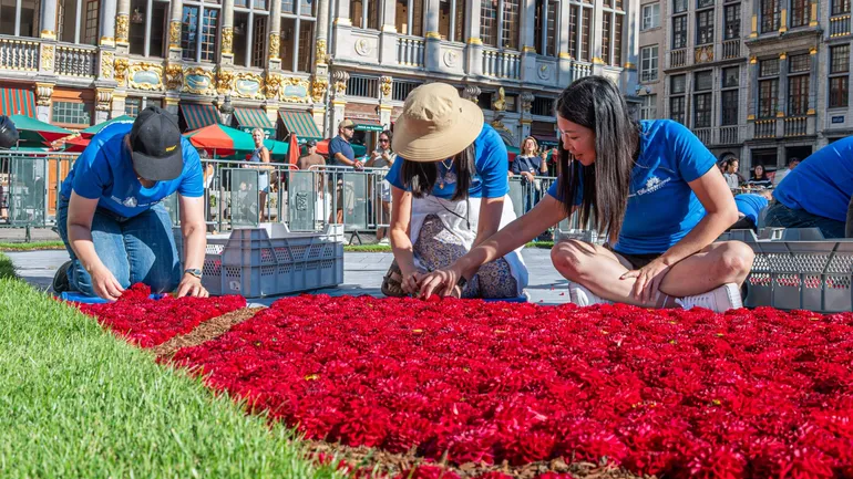 Bruxelles : le tapis de fleurs met le Japon à l’honneur pour sa 24e édition