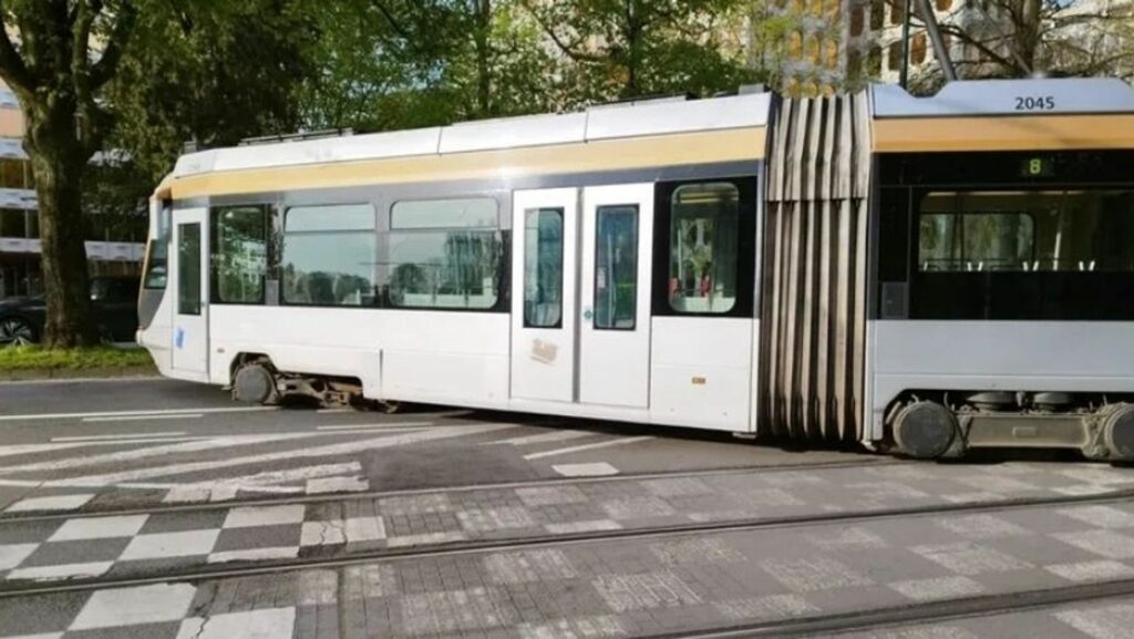 Deux lignes de tram à nouveau interrompues à Bruxelles après la chute d’un arbre