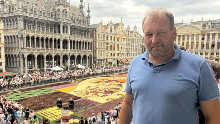 Tapis de fleurs de la Grand-Place de Bruxelles : les dahlias ont souffert de la chaleur sans gâcher le spectacle